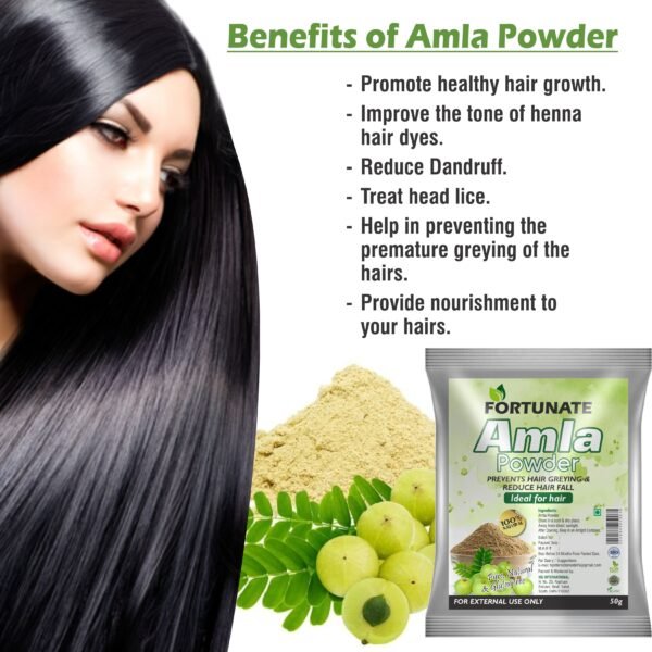 FORTUNATE Organic Amla Powder (50g) - Image 2