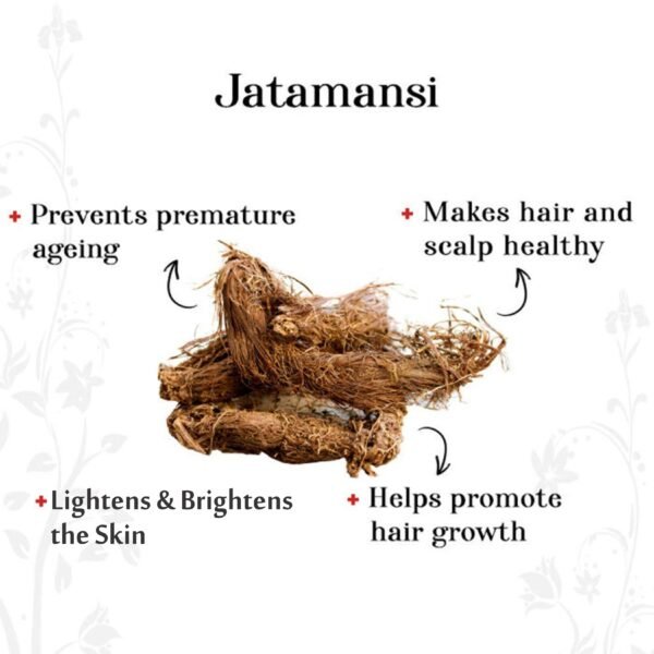 FORTUNATE Natural Jatamansi Powder (50g) - Image 2