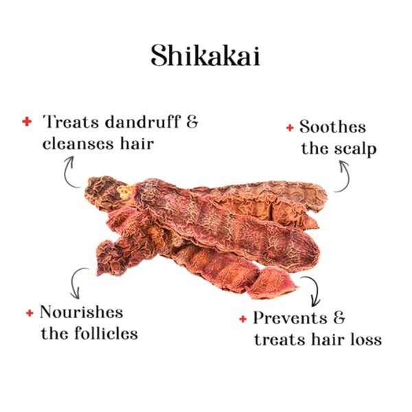 FORTUNATE Organic Shikakai Powder (50g) - Image 2