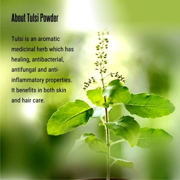 FORTUNATE Herbal Tulsi Powder (50g) - Image 2