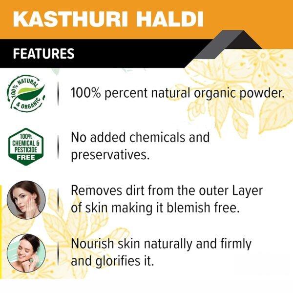 FORTUNATE Kasturi Haldi Face Pack (50g) - Image 3