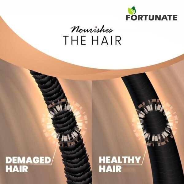 FORTUNATE Blackseed Onion Hair Oil (100ml) - Image 3