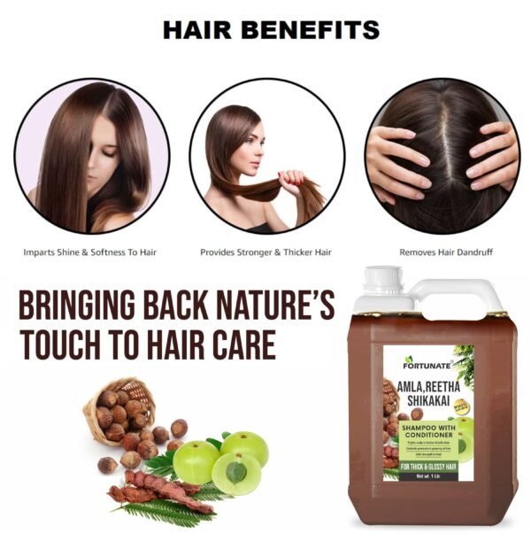FORTUNATE Amla Reetha Shikakai Shampoo -1L - Image 3